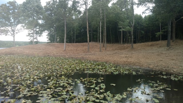 Large-Scale Cutting - Decaturville, TN