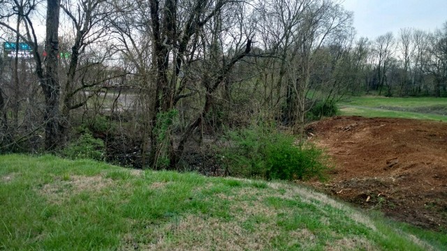 Commercial Forestry Mulching - Decaturville, TN