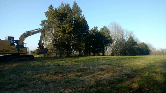 Before and After Tree Removal