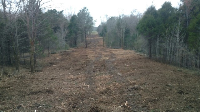 Land Before Dead Grass